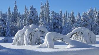 Amazing Snow Full Screen HD Desktop Wallpaper Background