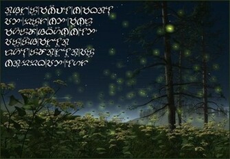 Fireflies Wallpaper Desktop Background