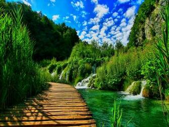 Nature Wallpaper