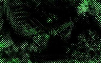 Green Checker Wallpaper By Ciphonw