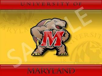 Mycolors University Of Maryland Desktop Screenshot