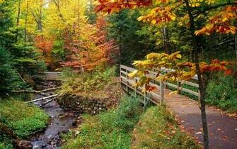 Fall Colors Wallpaper Pictures