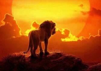Amazon Forest King Lion Background For Photography Mme