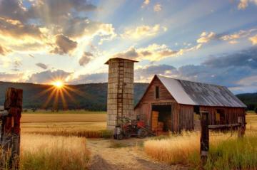 Farm Pictures Image