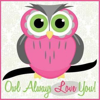 Beautiful Owl HD Widescreen Mar X Turtle Cartoon Wallpaper