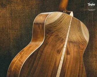 Taylor Guitars Wallpaper