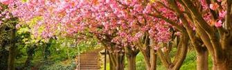 Linkedin Background Image Nature Image In