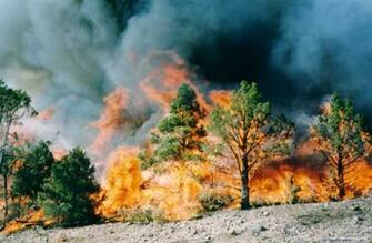Desktop Wallpaper Firefighting