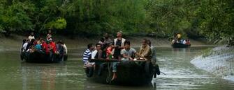 Sundarbans National Park West Bengal India Tiger Reserve