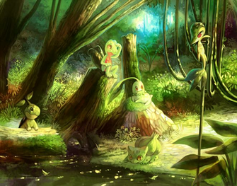 Treecko Pok Mon HD Wallpaper Background Image