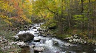 Mountain And River Scenes Sarah Palmisano Smoky