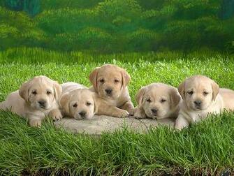 Funny Collection World Find The Best Funniest All