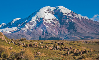 Ecuador Wallpaper Image Photos Picture