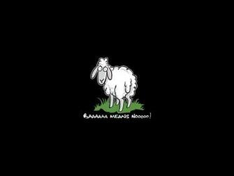 Funny Wallpaper