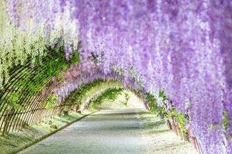 Spring Flower Pictures From Around The World Cond Nast Traveler