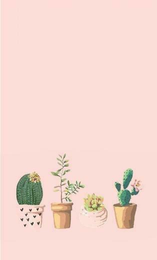 Orianna On Art Pastel iPhone Wallpaper Succulents