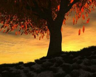 Wallpaper Autumn