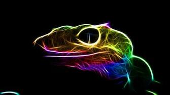 Gecko Wallpaper