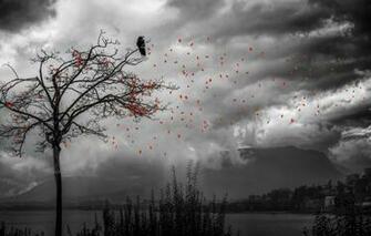 Wallpaper Leaves Tree Bird Treatment Falling Gone But