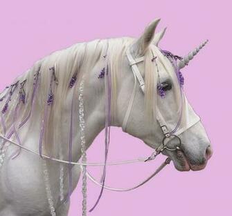 Moxie Mama Unicorns Are Indigenous To Somewhere Like Scotland Right