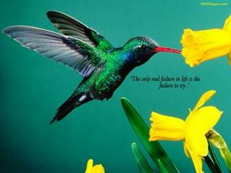 Beautiful Inspirational Wallpaper
