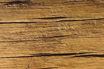 Distressed Wood