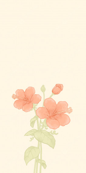 Hibiscus Aesthetic Wallpaper