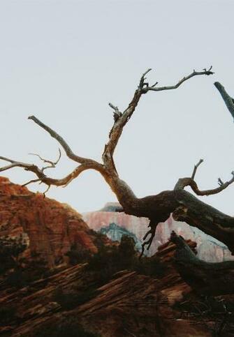 North America S West Coast Landscapes By Ivana Cajina Travel