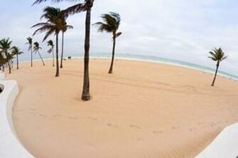 Palm Trees On The Beach Fort Lauderdale Broward County Florida Usa