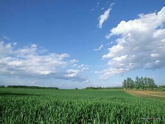Country Field Under Blue Sky Wallpaper Of Vast