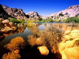 Joshua Tree National Park California Foto Artis Candydoll