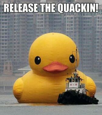 Giant Rubber Duck Meme Release Of A