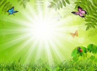 Fabulous Background With Insects Background For Powerpoint