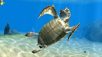 Beautiful Wallpaper Turtle HD
