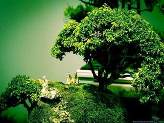 Bonsai Tree Drawing Wallpaper