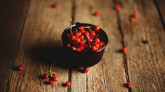 Berries Macro HD Desktop Wallpaper