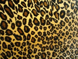 Cell Phone Wallpaper Leopard Print