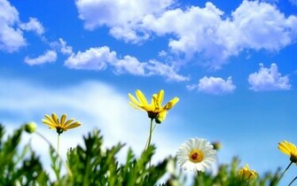 Beautiful Summer A Day Wallpaper HD