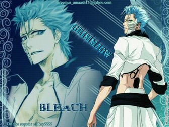 Grimmjow Jeagerjaques Wallpaper