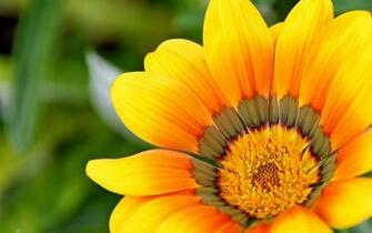 Source Url Expokerja Every Day New Pictures Screensavers