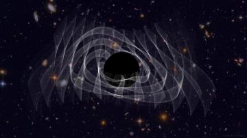 Ringing Black Hole Validates Einstein S General Relativity