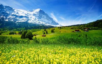 HD Wallpaper Spring Landscape Nature Switzerland Meadow With