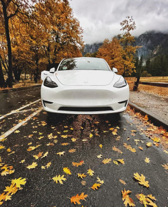Fall Colors Yosemite R Teslamodely
