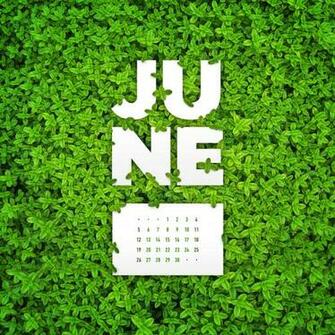 June Desktop Calendar Wallpaper Paper Leaf