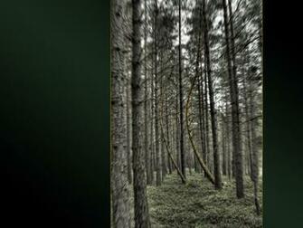 Dancin Trees By Guro Caedes Desktop Wallpaper
