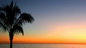 Holiday Beach Wallpaper Florida Alternative Shutterstock Hotel