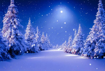 Amazon Eainb Winter Snow Scene Backdrop Snowfall