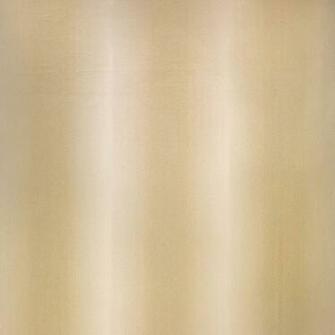 Gold Ombre Background Ocelot Wallpaper A
