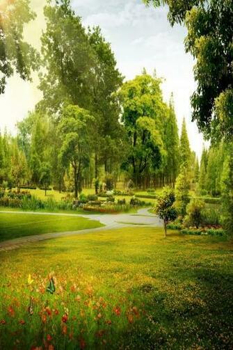 Natural Riverbank Image Studio Background Image Background