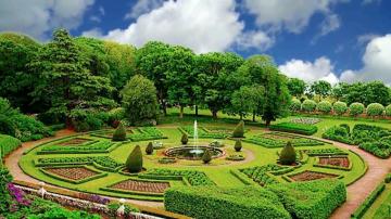 Very Nice Landscape Tree Garden Background Video 1080p Cool